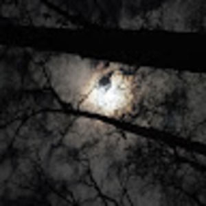 Meet your Posher, Justine